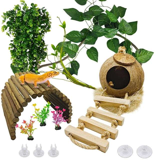 Accesorios para terrarios para gecko leopardo Kathson con casita de cáscara de coco