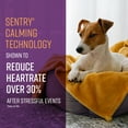 thumbnail image 2 of SENTRY Portable Calming Pheromone Diffuser Refills for Dogs, Helps Reduce Stress, 2 Count, 2 of 6