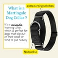 thumbnail image 4 of Country Brook Petz® Martingale Dog Collar - Training Collar with No Buckle (Black, 3XS), 4 of 5