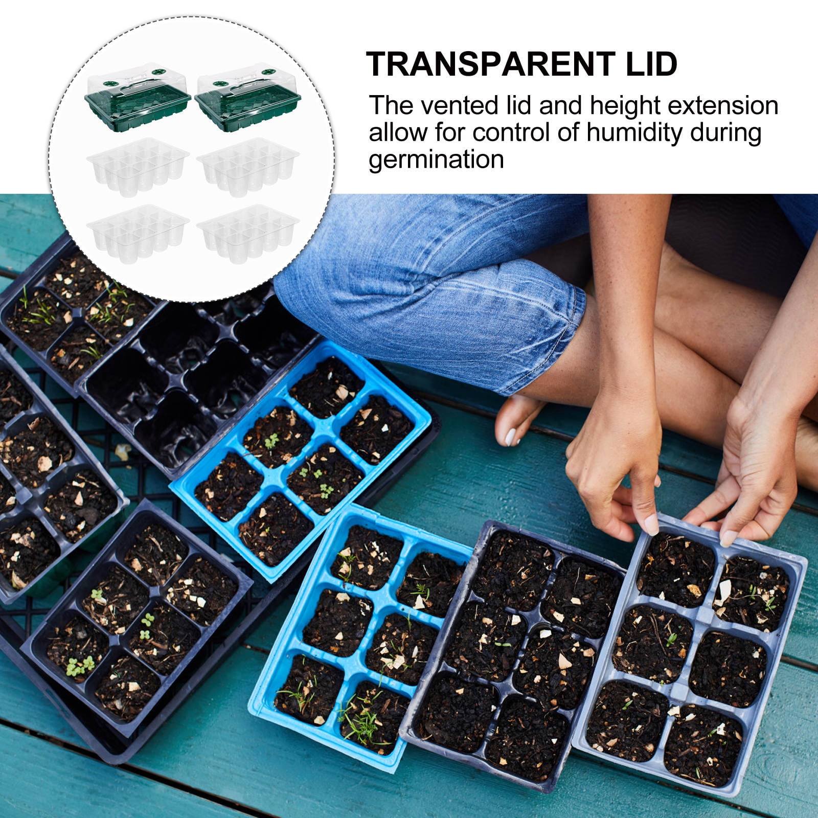 WEUVEB Hydroponic Plant Germination Tray with Clear UV-Protected Lid, Green Plastic Seed Starter for Optimal Plant Growth, 1 Set