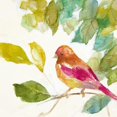 thumbnail image 3 of Loreth, Lanie 12x12 Black Modern Framed Museum Art Print Titled - Bird in a Tree IV (magenta), 3 of 5