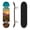 Color4, variant on 31"x8" Complete Skateboards for Beginners, Delicate Oil Painting Butterflies Glowing Lilies Pink Double Kick 7 Ply Canadian Maple Deck Skateboard with Wheels, Gifts for Kids Teens
