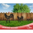 thumbnail image 6 of Metal Chicken Garden Stakes | 4 Piece Set | Outdoor | Up to 30" | Over 20 Color Options 10, 6 of 8