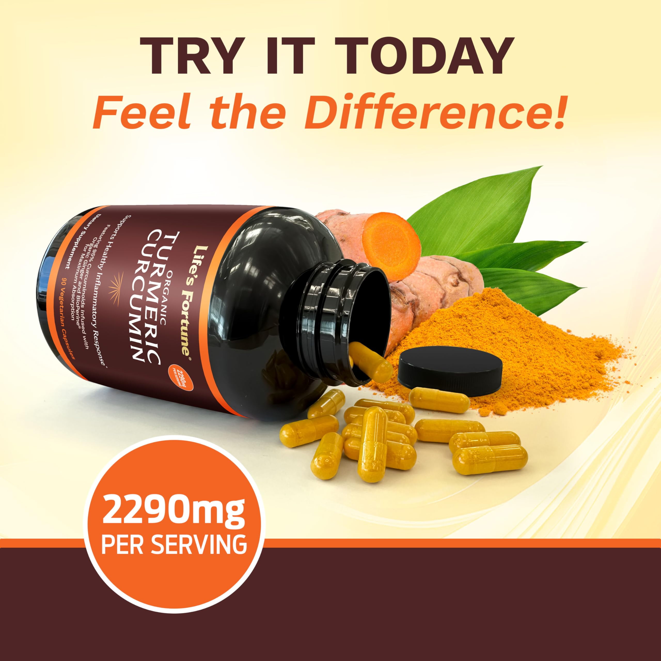Life's Fortune Turmeric Curcumin Dietary Supplement 90 Capsules - Turmeric Curcumin Tumeric Capsules Antioxidant Immune Liver Support Formula