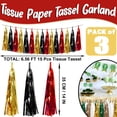 thumbnail image 2 of Guirnalda de borlas Hysilla con flecos laminados en negro y rojo, 9 m, 2 of 4