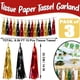thumbnail image 2 of Guirnalda de borlas Hysilla con flecos laminados en negro y rojo, 9 m, 2 of 4