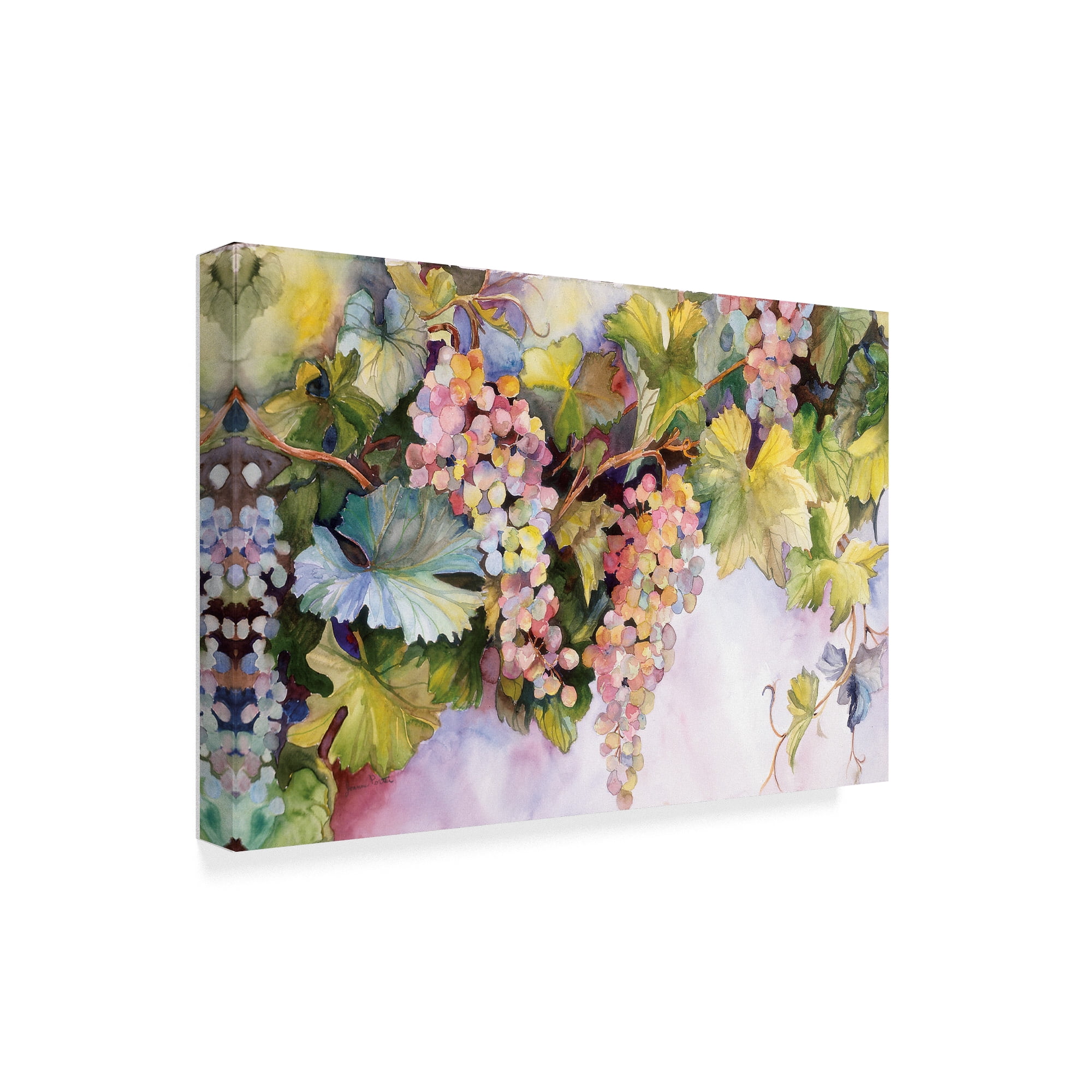 Trademark Fine Art 'Grapes On The Vine' Canvas Art by Joanne Porter