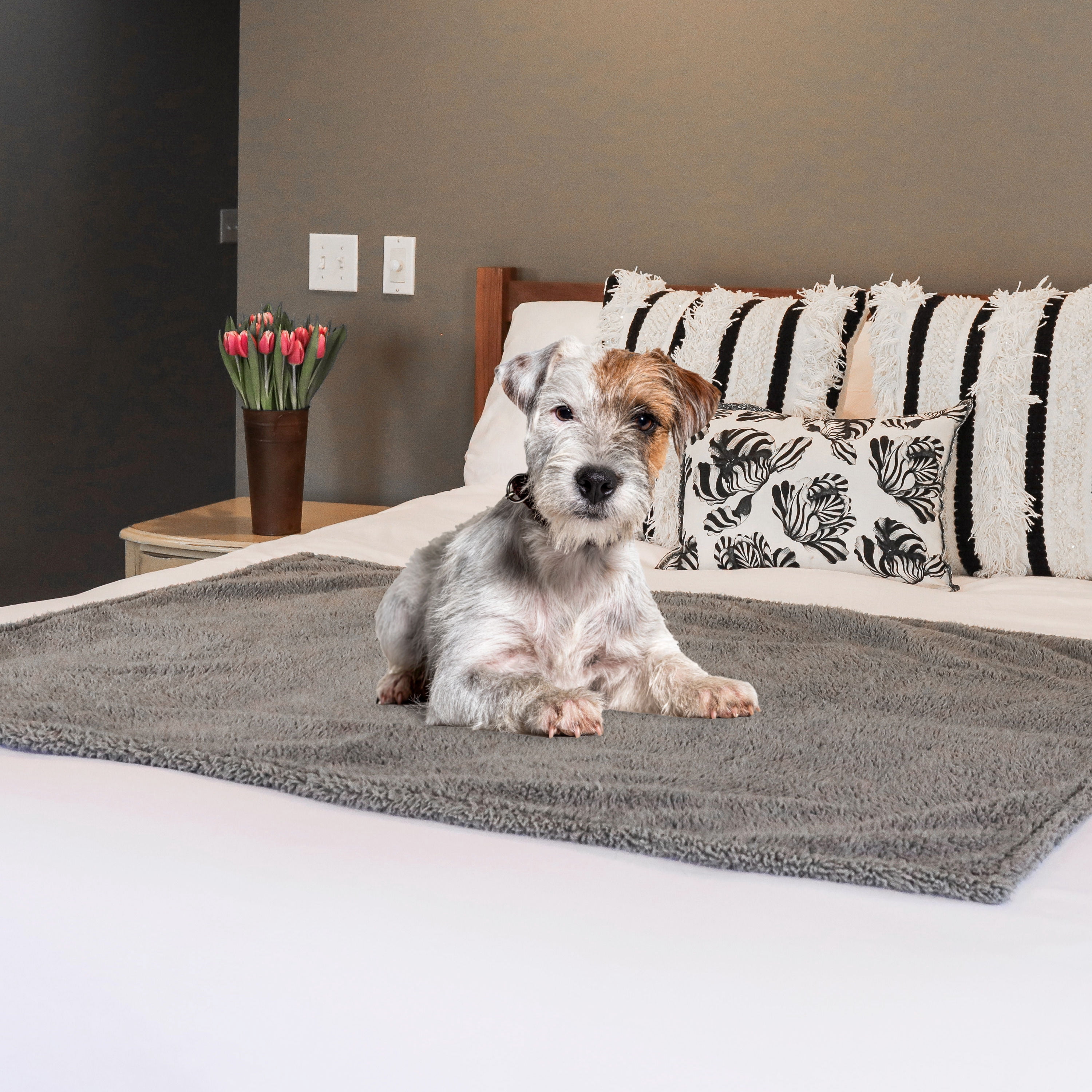 rocket & rex Medium Waterproof Dog Blanket, Grey, Washable Waterproof Pet Blanket Protects Beds, Couches & Other Furniture, Premium Fleece Fabric with Reversible Faux Suede, 30" x 40" (Pack of 1)