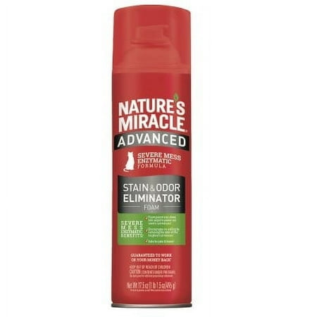 STAIN/ODOR ADV CAT FOAM 17.5Z
