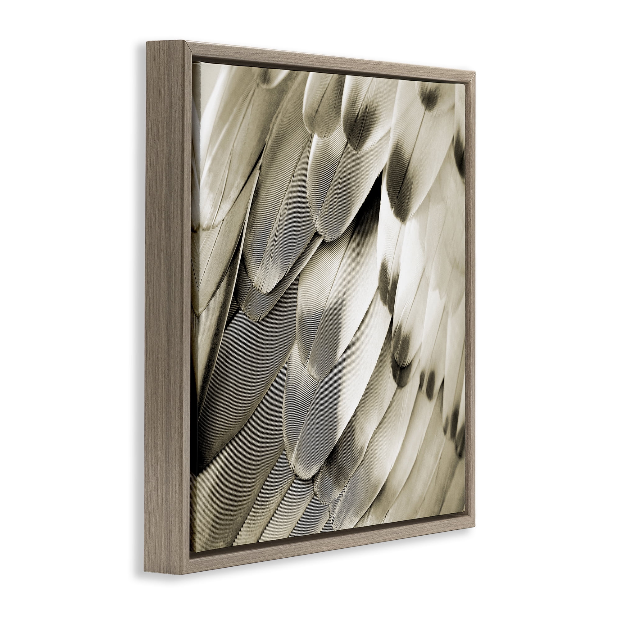 Stupell Industries Sleek Feathers Close Up Animals Painting Brown Floater Framed Canvas Art Print Wall Art, 25 x 25