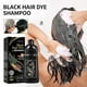 thumbnail image 1 of Black Hair Dye Shampoo, Black Instant Hair Color Shampoo, 3-in-1 Herbal Black Hair Dye Shampoo For Men Women, 1 of 1