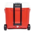 thumbnail image 6 of Igloo 60 Quart Laguna Rolling Cooler, 6 of 13