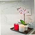 thumbnail image 5 of Clear Orchid Pot Clear Plastic Plant Pots Orchid Slot Orchid Holes, 5 of 5