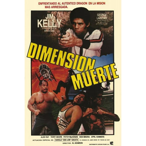 Death Dimension Movie Poster (11 x 17)