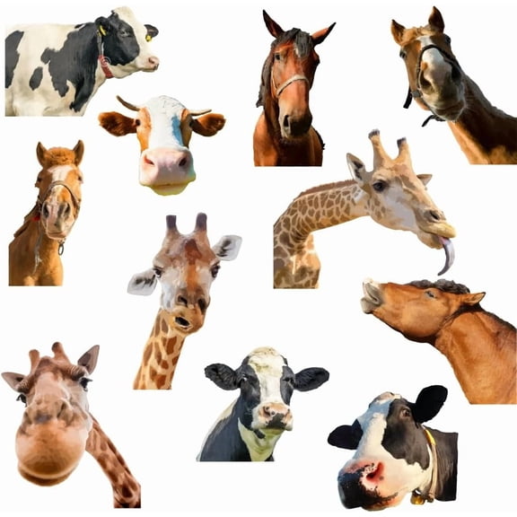 Animal Head Wall Sticker Funny Giraffe Cow Horse Head Wall Decals Peel and Stick Wall Stickers DIY for Playroom Farm Chicken Coop Zoos Farm Playroom