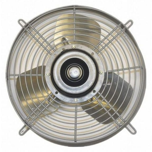 Dayton Guard Mounted Exhaust Fan,Blade 12" Dia. 484X53