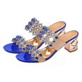 thumbnail image 1 of Sandalias de playa de verano para mujer, sandalias elegantes con diamantes de imitación, sandalias de plataforma-Azul-39.5 Teléfono móvil Teléfono móvil Accesorios para teléfonos móviles, 1 of 5