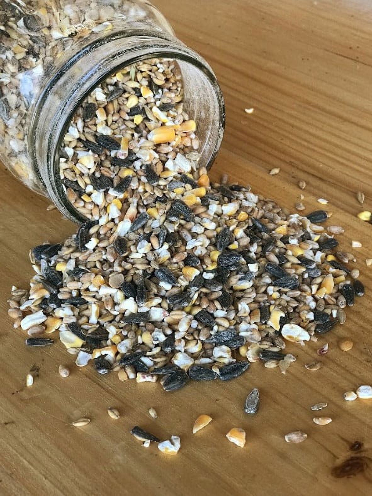 Bird & Wildlife Feed, Non-GMO – 25lbs – Perfect feed for deer, ducks, squirrels, turkeys, rabbits, geese, and more!