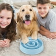 thumbnail image 4 of Small Slow Feeder Cat Dog Bowls, Puzzle Dog Bowl with Anti-, Pet Food Bowls for Fast Eaters,Interactive Dog Feeding Dishes to Slow Down Eating, Bloat Stop Bowls for Small Medium Dogs and Cats, 4 of 4