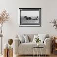 thumbnail image 4 of Historic Framed Print, Planting tomatoes, Wabash Farms, Indiana, 17-7/8" x 21-7/8", 4 of 9