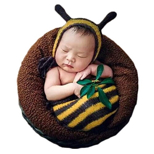 Newborn Monthly Baby Photo Props Bee 