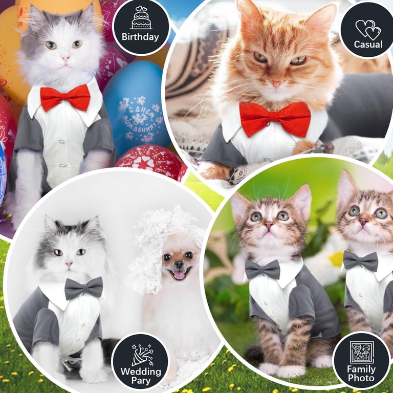ZZ Cat Tuxedo Suit, Sphynx Cat Suit for Cat with Two Bow Tie, Cat