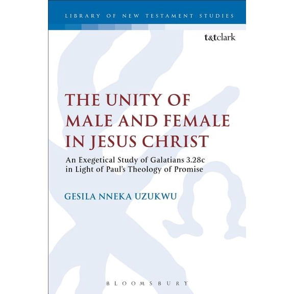 The Unity of Male and Female in Jesus Christ: An Exegetical Study of Galatians 3.28c in Light of Paul's Theology of Prom, (Paperback)