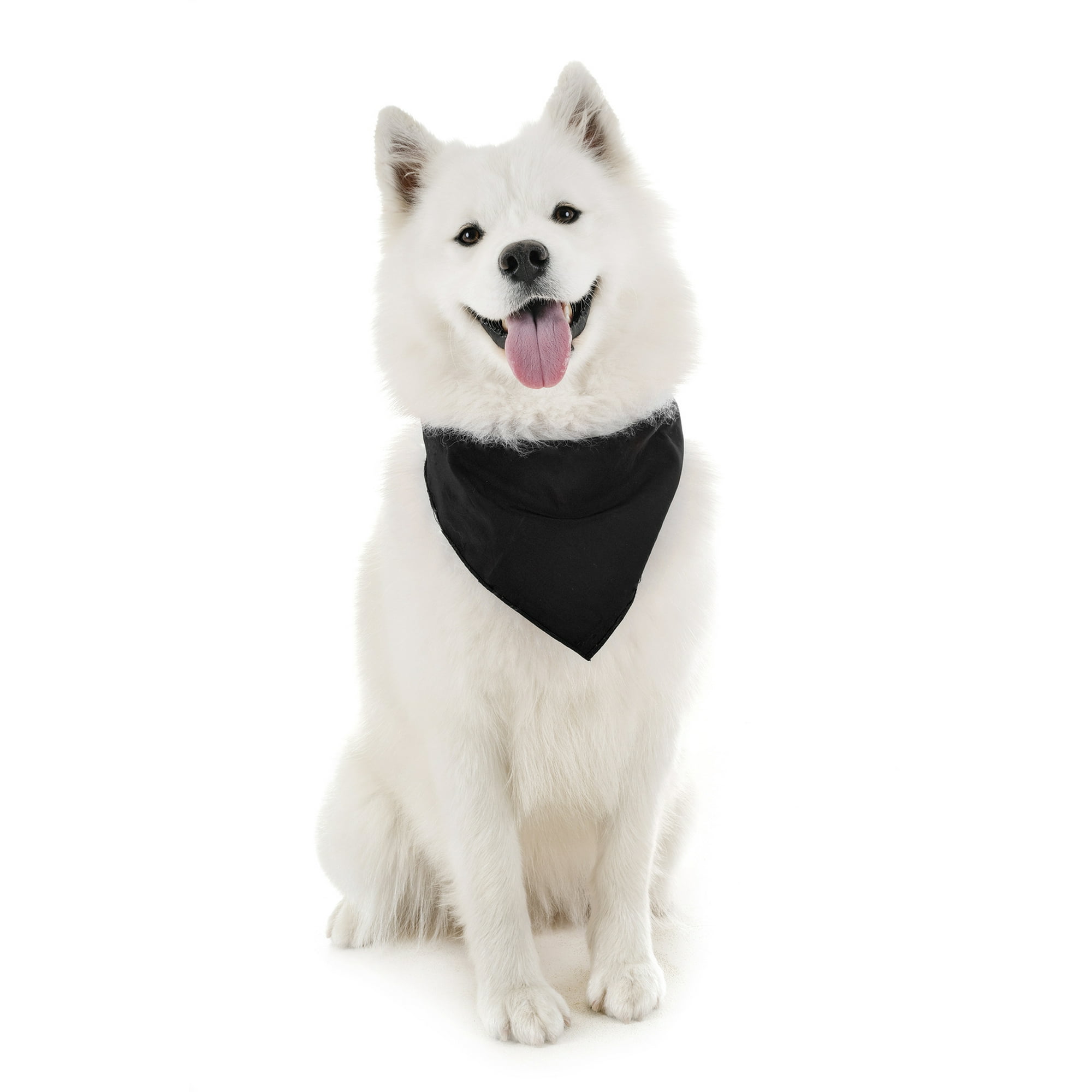 Qraftsy Dog Bandana Scarf Triangle Bibs For Any Size Puppies Dogs And Cats Black