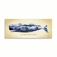 thumbnail image 2 of Gango Home Decor Sperm Whale by Alan Hausenflock (Printed on Paper); One 36x18in Fine Art Paper Giclee Print, 2 of 4
