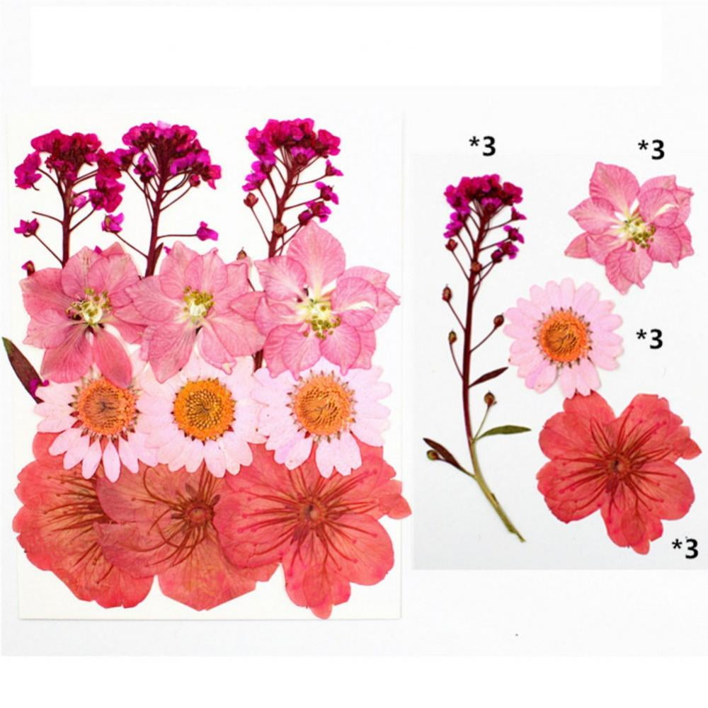 Nuanchu Pressed Flowers Resin Flowers for Resin Mold Real Daisy Dried  Flower Leaves Natural with Tweezers for Scrapbooking DIY Candle Accessories  Jewelry Crafts Making (Fresh Style) Multi Color