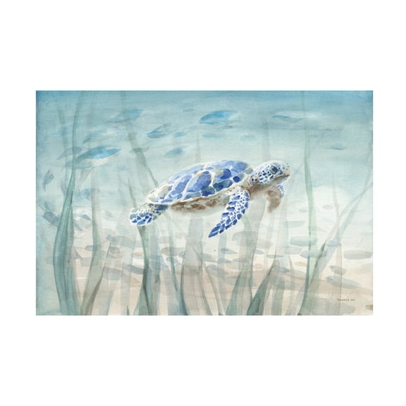 Danhui Nai 'Undersea Turtle' Canvas Art