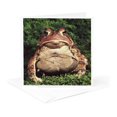 thumbnail image 5 of 3drose, American Toad - Na02 Dno0124 - David Northcott, 12 Greeting Cards with Envelopes, 5 of 7