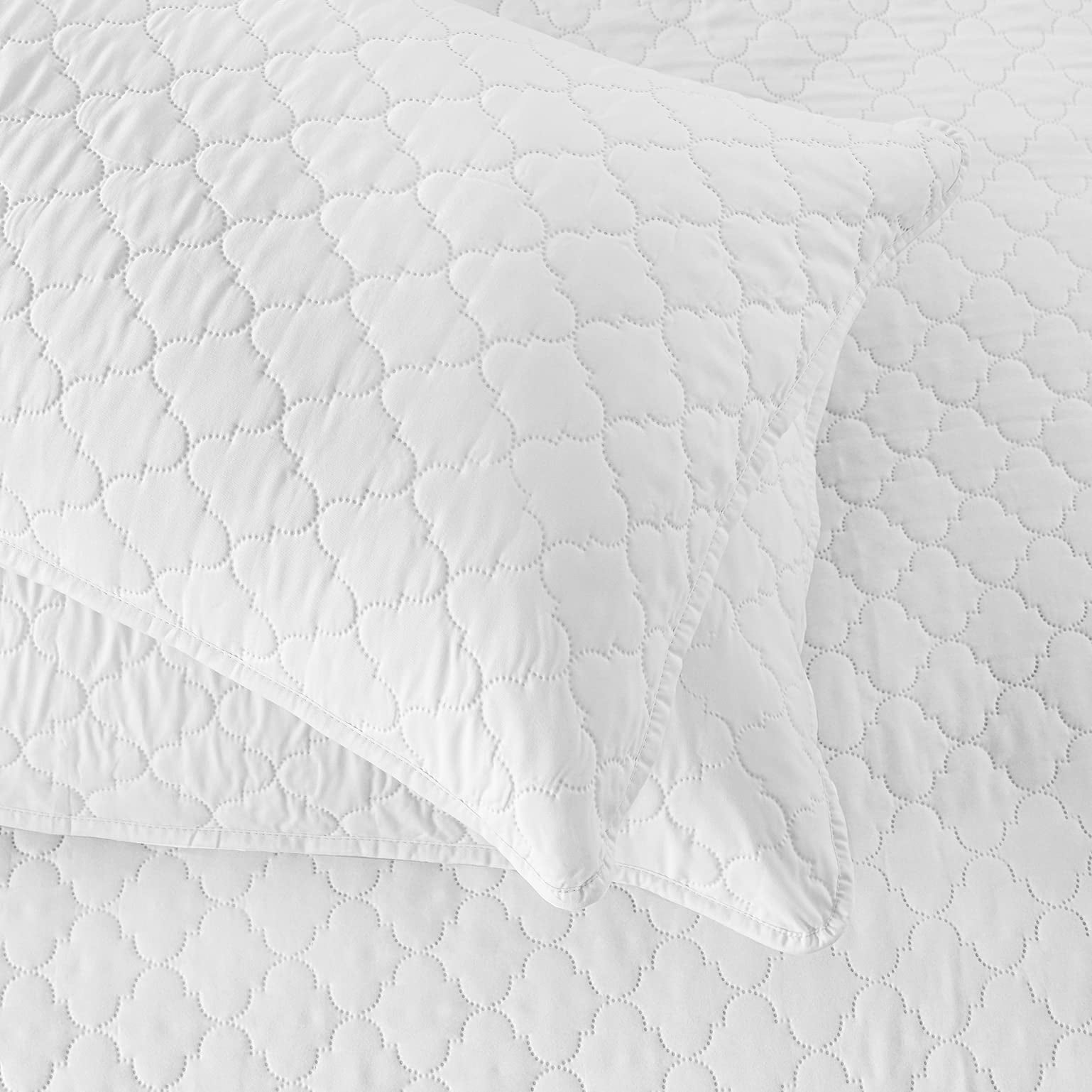 Greagle Ultrasonic Reversible King Size Quilt Set, White Velvet, Soft & Warm, 3-Piece Bedding Set