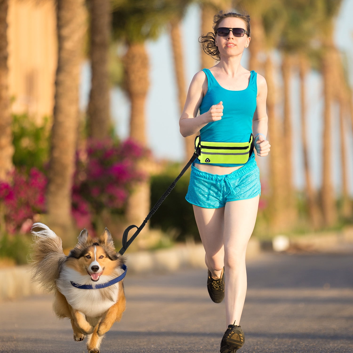 Haooryx Hands Free Dog Leash for Dog Walking Jogging Running, Durable Lead with Pouch Adjustable Belt for Small and Medium Dogs, Green