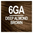 thumbnail image 2 of Naturtint 6GA Deep Almond Brown Permanent Hair Color, 1 Pack (Packaging May Vary), 2 of 7