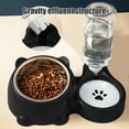thumbnail image 5 of IPEWLEX Pet Bowl for Cats and Dogs, 2-in-1 Drinking Water and Food Bowl, Inclined Design, Non-Slip Base, Easy to Clean, Blue, 5 of 6