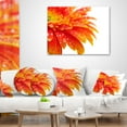thumbnail image 3 of Designart Orange Gerbera with Raindrops - Floral Throw Pillow - 18x18, 3 of 4