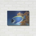 thumbnail image 3 of Luxe Metal Art 'Powder Blue Tang' by Durwood Coffey, Metal Wall Art, 24"x16", 3 of 8