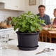 thumbnail image 5 of Maceta de plástico engrosada con bandeja de drenaje 15 cm maceta redonda Interior y exterior Beige Blanco Rojo Negro Contenedor decorativo moderno para jardín, 5 of 6