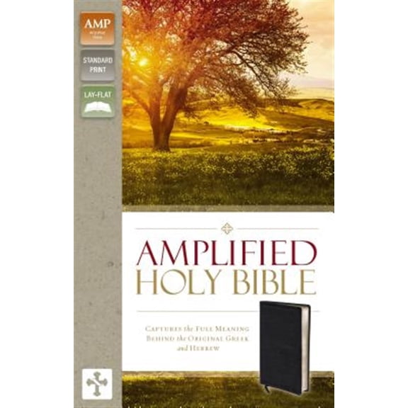 Pre-Owned Amplified Bible-Am: Captures the Full Meaning Behind the Original Greek and Hebrew (Hardcover)
