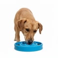 thumbnail image 4 of Comedero para Perro Fun Fur Pets Varios Colores 1 Pza, 4 of 4