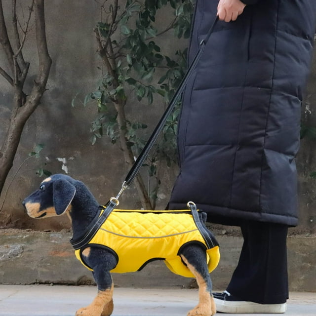 Child Seat For Dogs Accessories Dog Trailer Feeding Bucket With Lid Dog Dog Pannier Pug Accessories Dog Accessories Car Accessories Dog Groomer Dog Breeding Accessories Accessory Dog Leash Accessories