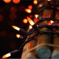 thumbnail image 4 of Cadena de luces LAMPHOME naranja 100 bombillas de 6 m 120 V a prueba de agua, 4 of 9