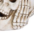 thumbnail image 3 of Halloween Themed Resin Skull Cover Ears Table For Halloween Indoor Decorations, 3 of 4