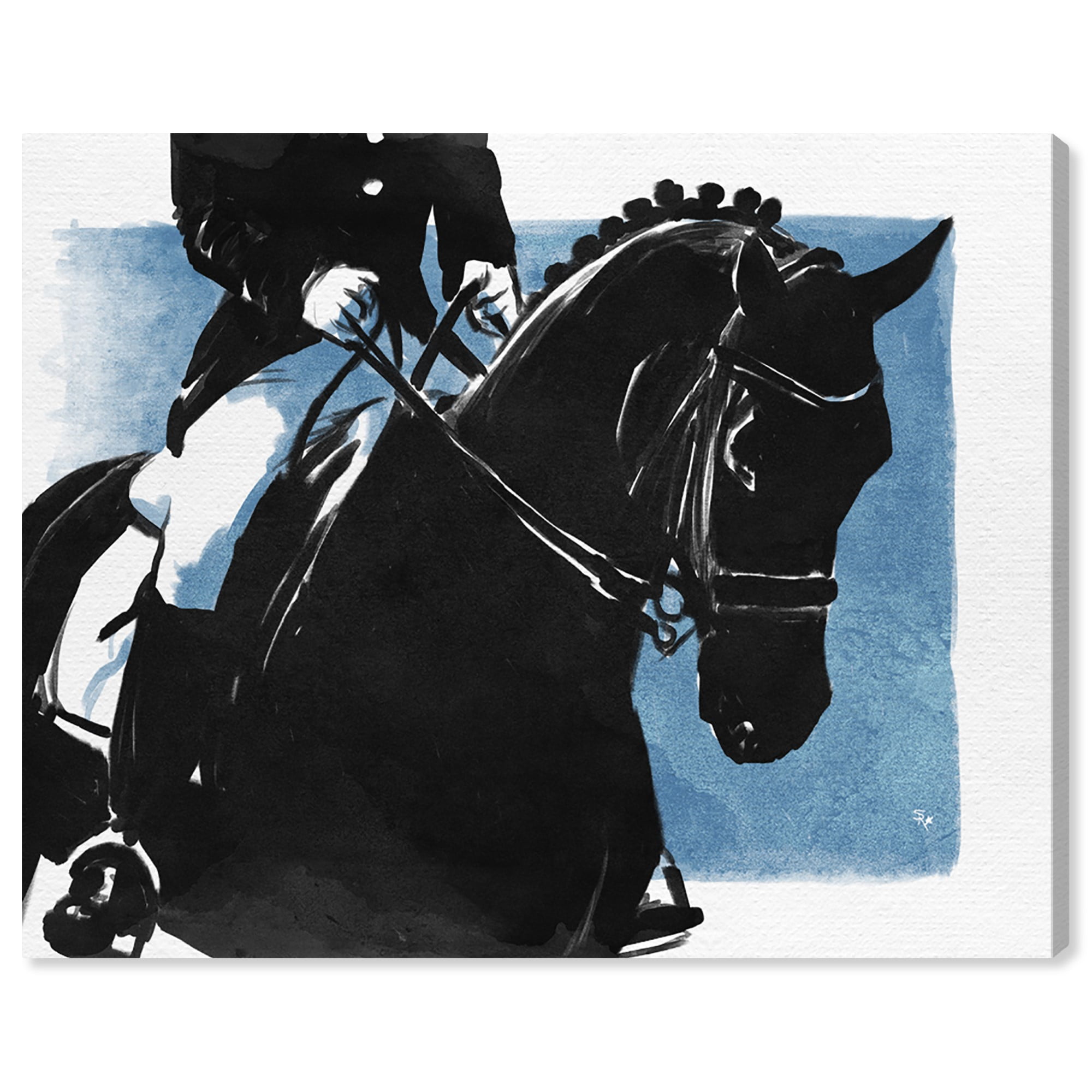 Crystal Ace Equestrian Horse Cotton Rug Sheet Riding Blanket Blue 