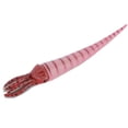thumbnail image 3 of Simulation Orthoceras Model Ornaments Desktop Decoration Ornament Children Toy(PL127‑1526 ), 3 of 14