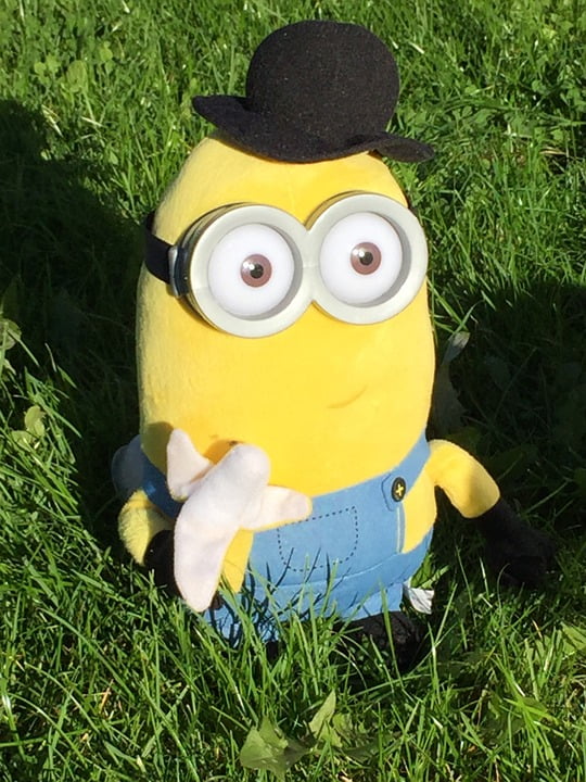 teddy minions