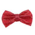 thumbnail image 1 of TOPINCN Rhinestone Crystal Wedding Bridal Shoe Bow, Crystal Rhinestone Bow, Hairpin Decor for Shoe Bag, Glass Rhinestone Bow Hairpin Phone Case, 1 of 7