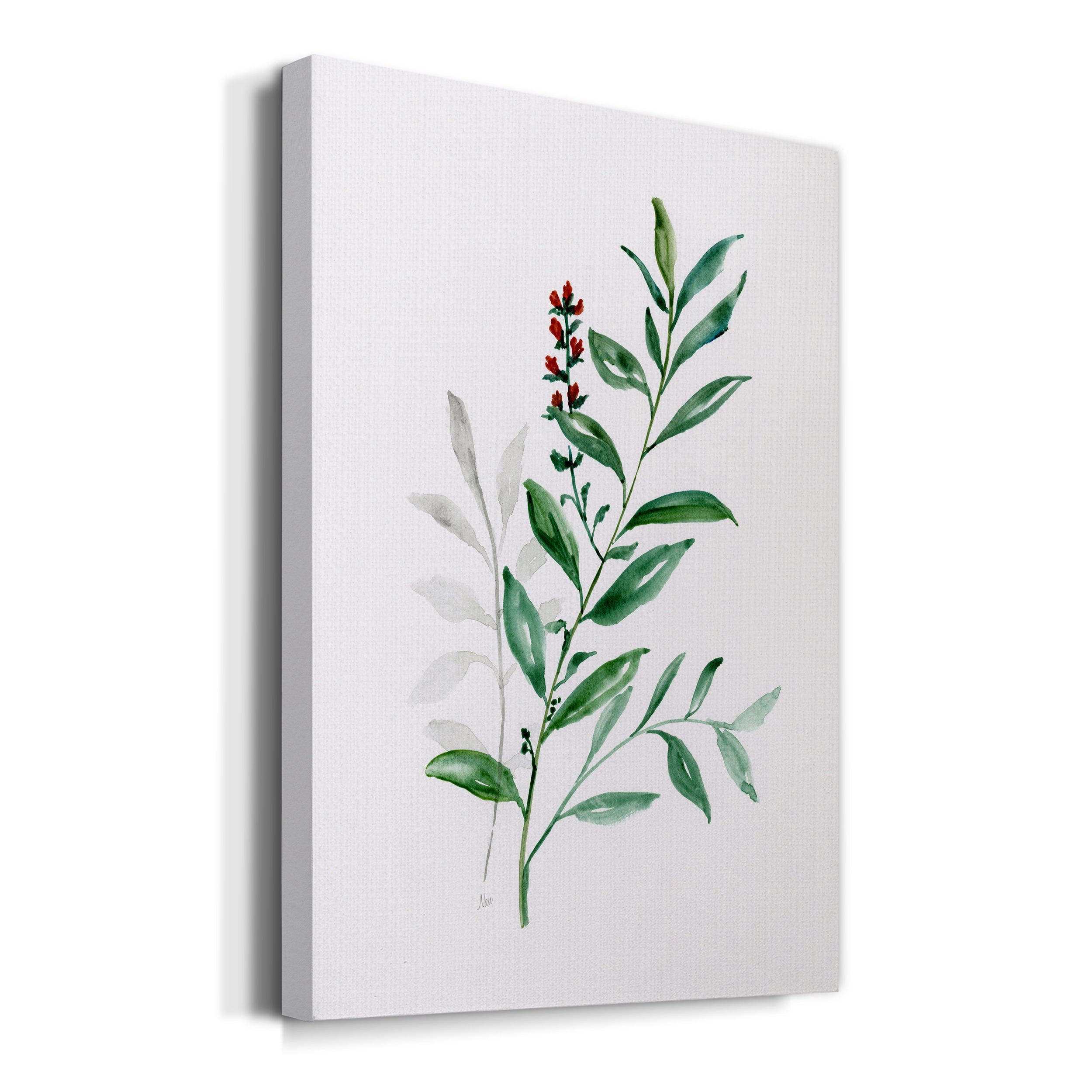 Freshly Picked III Premium Gallery Wrapped Canvas - Ready to Hang - 24 x 36