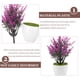 thumbnail image 5 of 2 bonsáis artificiales en maceta, simulación realista, decoración de bonsái, planta falsa en maceta, 5 of 6